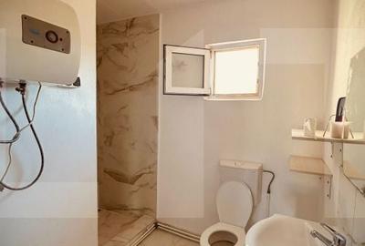 Apartament cu 2 camere în Vărădia de Mureș - 7