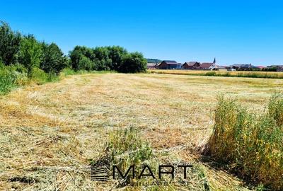 Teren de 4000 mp intravilan in Cristian - 1