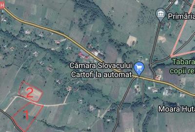 Teren de 10805 mp, în Șinteu - 1