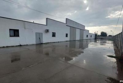 Spațiu comercial, de 6,000 mp, în Episcopia Bihorului - 2