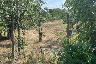 Spațiu comercial, în Petrești - 4