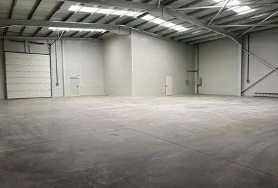 Spațiu comercial, de 1,200 mp, în Rudeni - 5