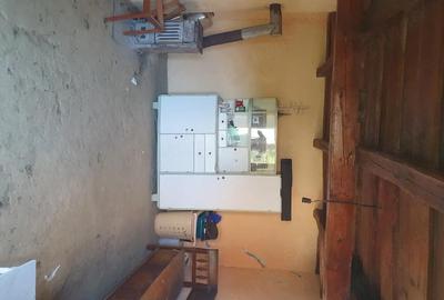 Teren de 3300 mp, în Firminiș - 2