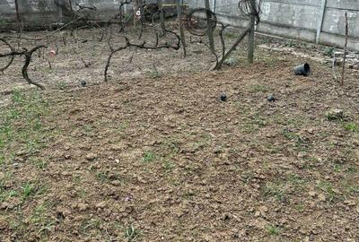 Casă cu 4 camere în Centura - 2