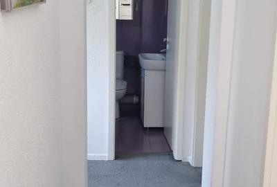 Iancului , Vatra Luminoasa - 13