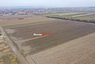 Teren de 507 mp, în Cihei