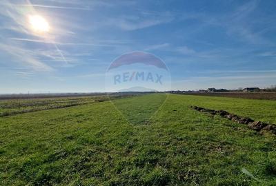 Teren 13,000mp Satulung / Soseaua Principala