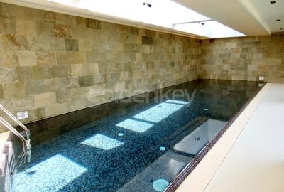 Vila minimalista insorita | piscina interioara | sauna | Jacuzzi - 28