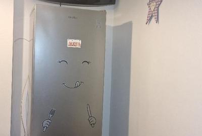 Colentina,Doamna Ghica, CENTRALA TERMICA PROPRIE - 8