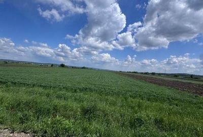 Teren de 10000 mp, în Central - 2
