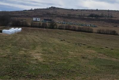 Casă cu 3 camere cu Teren 7400 Mp în Răscruci - 1