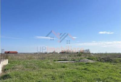 Teren de 350 mp, în Cihei - 6