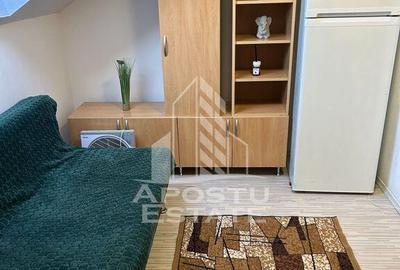 Garsonieră nedecomandată, mobilată în Iosefin - 2