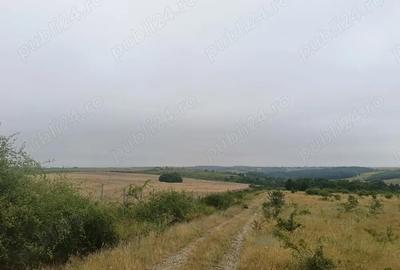 Teren de 76200 mp, în Lugoj - 8