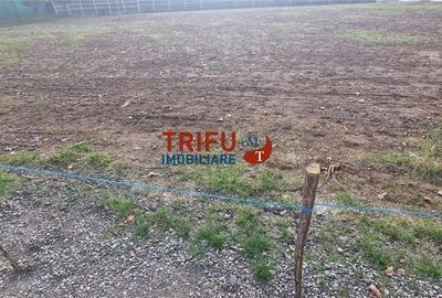 Teren cu o suprafață de 1093 mp, poziționat în zona Cetate, - 8