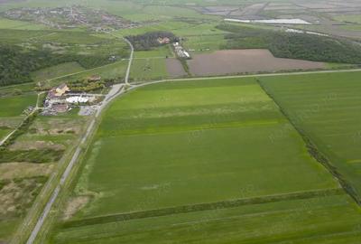 Teren extravilan de 22500mp Zona Ineu - 2