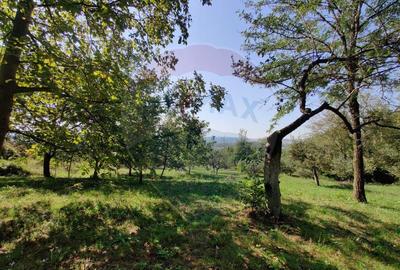 Teren de vanzare extravilan Ocolis - 10