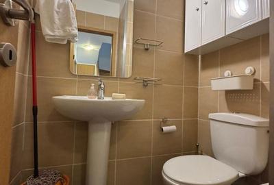 Apartament cu 3 camere decomandat, mobilat în Tei - 16