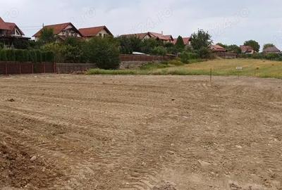 Teren de 3766 mp, în Nazna - 1