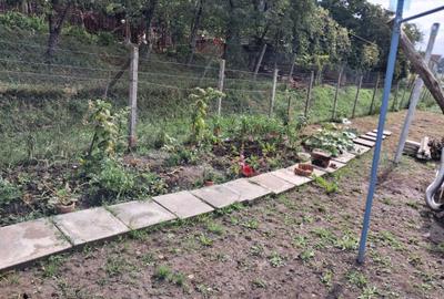 Teren de 938 mp, în Remetea - 2