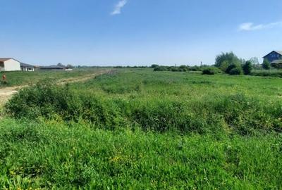 Teren Construcții intravilan de 12216 mp, în Vetiș - 2