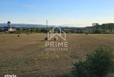 Teren de 10200 mp, în Central