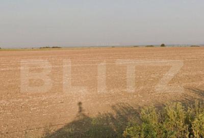 Teren de 22192 mp, în Cârcea - 1