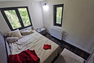 Casă individuală cu 4 camere cu Garaj în Breaza de Sus - 17