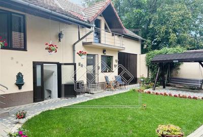 Casa individuala 4 camere, pod, curte 463 mp, pivnita - Apoldu de Jos - 20