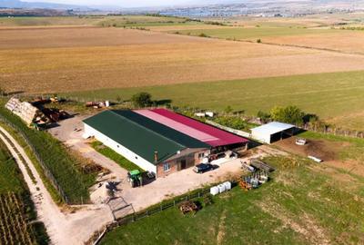 Teren de 18000 mp, în Rotbav - 10