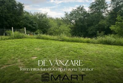 Teren intravilan, 600mp zona Turnisor - 2