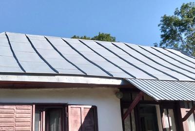 Casa batraneasca 20.000 euro - 5