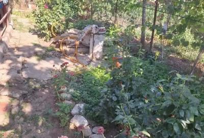 Casă cu 4 camere în Botoroaga - 9