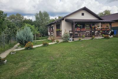 Casa pe un nivel Baia Sprie - 2