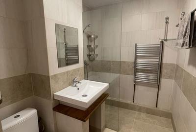 Apartament cu 2 camere decomandat, mobilat în Florilor - 13