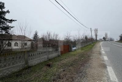 Casă cu 3 camere cu Teren 2714 Mp în Central - 9