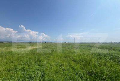 Teren Extravilan, 10.000 de mp, langa Centura Noua din Targu - 2