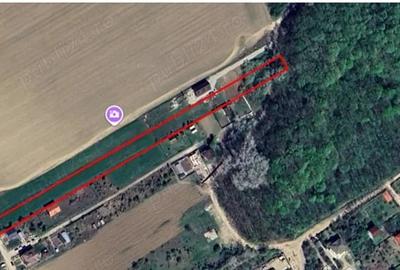 Teren de 7500 mp, în Clinceni - 2