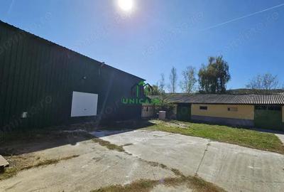 Spatiu Industrial/Depozitare/Hala - 2