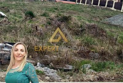 Teren de 700 mp, în Vest - 2