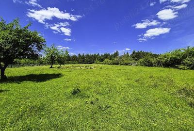 Teren de 9696 mp, în Spiridoni - 6