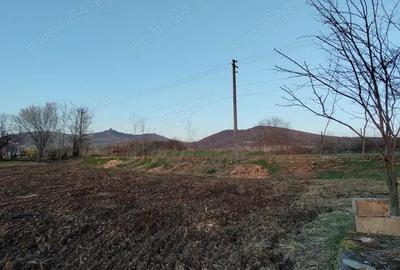 Teren de 3225 mp, în Șiria - 1