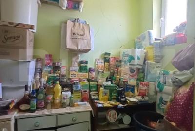 Casa renovabila, 2 camere, zona Cetate - 17