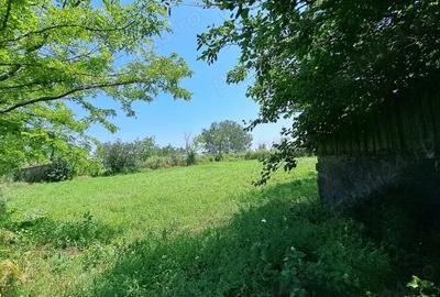 Casă cu 3 camere în Colibași - 2