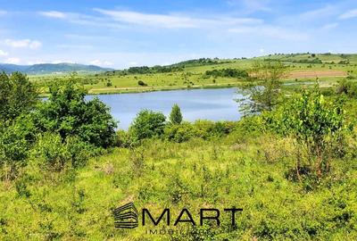 Teren extravilan 3200mp lac Sacel - 2