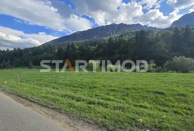 Teren intravilan Zarnesti Plaiul Foii - 14