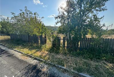 Teren de 4777 mp, în Bârnova - 5
