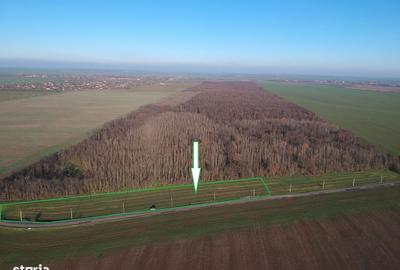 Spațiu comercial, în Frumușani - 2