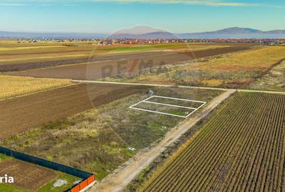 Teren de 650 mp, în Astra - 6