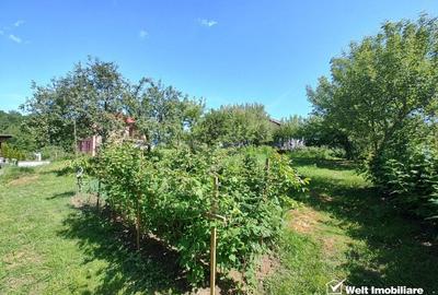 Oaza ta de liniste si verdeata, teren Faget cu parau in curte - 2